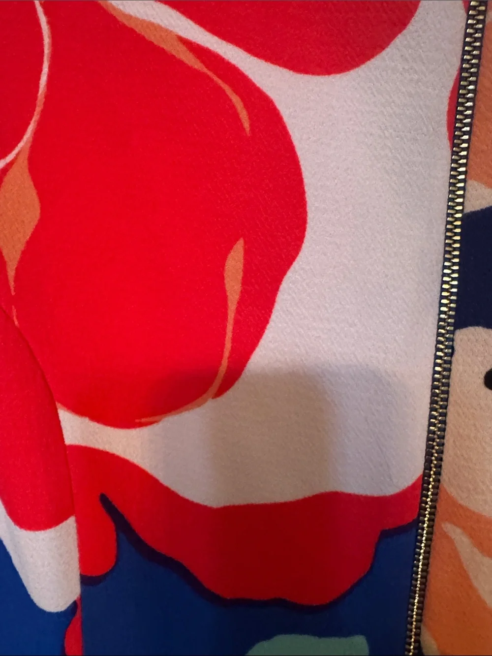 kate spade Blue Floral Short-Sleeve Shift Dress with Red & Coral Blooms size 12